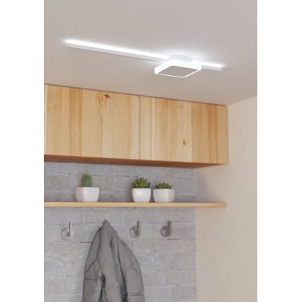 Eglo - LED Stropní svítidlo 1xLED/6,3W/230V + 1xLED/5,4W