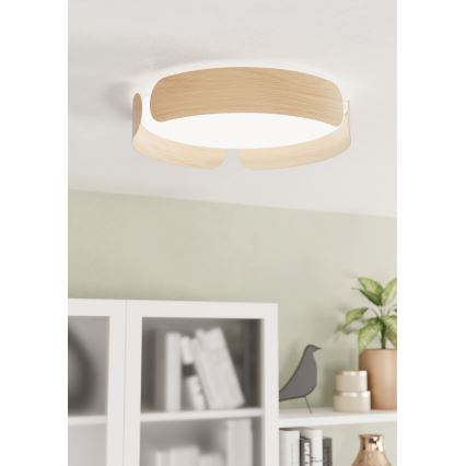 Eglo - LED Stropní svítidlo LED/24W/230V