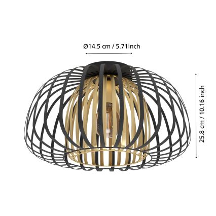 Eglo - Stropní svítidlo 1xE27/40W/230V