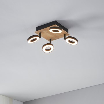 Eglo - LED Bodové svítidlo 4xLED/4,2W/230V černá/hnědá