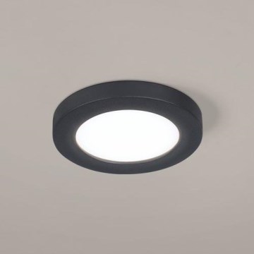 Eglo - LED Podhledové svítidlo LED/5,5W/230V 4000K černá pr. 11,7 cm