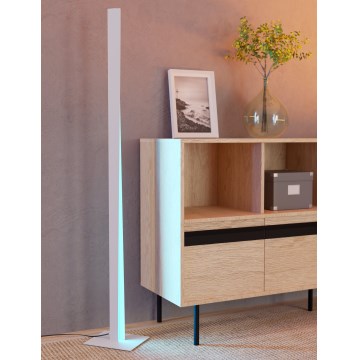 Eglo - LED RGBW Stmívatelná stojací lampa LED/10,5W/230V + LED/15,2W 2700-6500K šedá