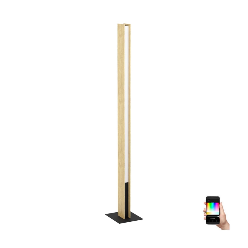 Eglo - LED RGBW Stmívatelná stojací lampa LED/35W/230V 2700-6500K