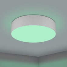 Eglo - LED RGBW Stmívatelné stropní svítidlo LED/35W/230V 2700-6500K šedá