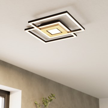 Eglo - LED Stmívatelné stropní svítidlo 2xLED/17W/230V +1xLED/4,2W 2700-6500K + dálkové ovládání