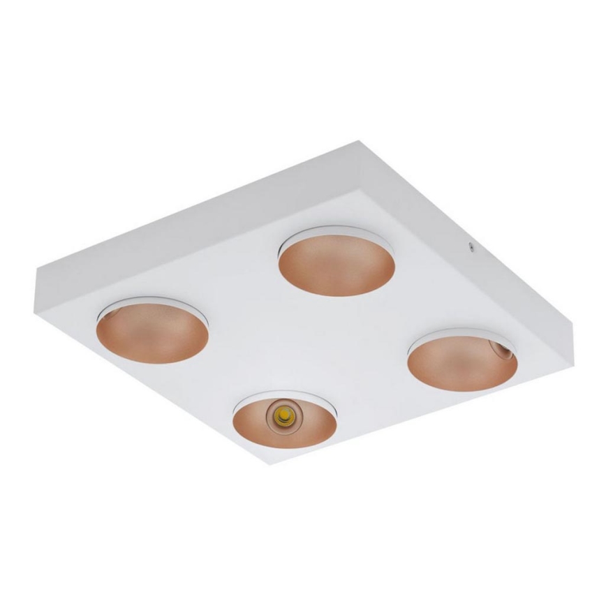 Eglo - LED Stmívatelné stropní svítidlo 4xLED/3,3W/230V