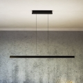 Eglo - LED Stmívatelný lustr na lanku LED/30W/230V černá + dálkové ovládání
