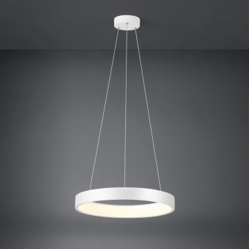 Eglo - LED Stmívatelný lustr na lanku LED/34W/230V