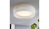 Eglo - LED stropní svítidlo 1xLED/11W/230V