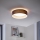 Eglo - LED stropní svítidlo 1xLED/12W/230V