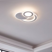 Eglo - LED stropní svítidlo 3xLED/11W/230V