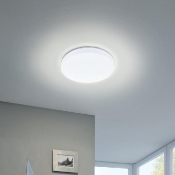 Eglo - LED Stropní svítidlo LED/11,5W/230V