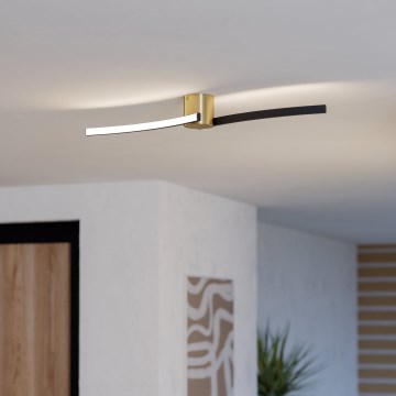 Eglo - LED Stropní svítidlo LED/12W/230V 4000K černá