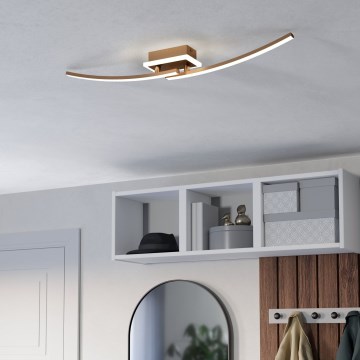 Eglo - LED Stropní svítidlo LED/12W/230V 4000K měděná