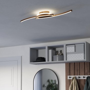Eglo - LED Stropní svítidlo LED/12W/230V 4000K měděná