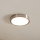 Eglo - LED Stropní svítidlo LED/16,5W/230V