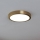 Eglo - LED Stropní svítidlo LED/17W/230V pr. 21 cm