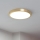 Eglo - LED Stropní svítidlo LED/20,5W/230V pr. 28,5 cm