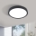 Eglo - LED Stropní svítidlo LED/20W/230V pr. 28,5 cm