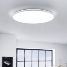 Eglo - LED Stropní svítidlo LED/29W/230V pr. 50 cm