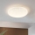 Eglo - LED Stropní svítidlo LED/49,5W/230V
