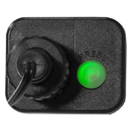 Eglo 472-53 - LED Venkovní vánoční řetěz BERRY MINI 700xLED/8 funkcí 19m multicolor IP44