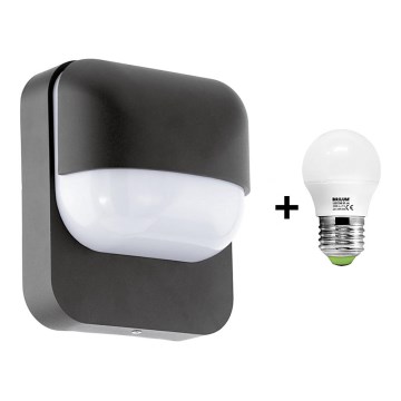 Eglo Starlux 78595 - LED Venkovní nástěnné svítidlo RECCO 1xE27/6W/230V 3000K Eglo Starlux 78595 - LED Venkovní nástěnné svítidlo RECCO 1xE27/6W/230V 3000K