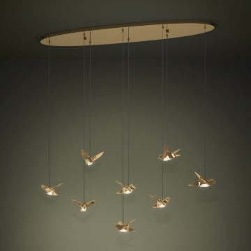 Eglo Stars of Light - LED Stmívatelný lustr na lanku 8xLED/4,2W/230V 3000K zlatá