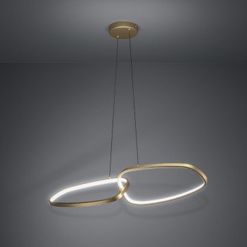 Eglo Stars of Light - LED Stmívatelný lustr na lanku LED/37,5W/230V 3000K zlatá