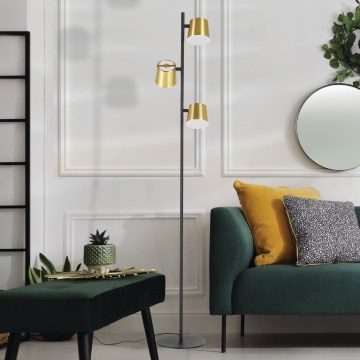Eglo Stars of Light - LED Stojací lampa 3xGU10/4,6W/230V 3000K zlatá