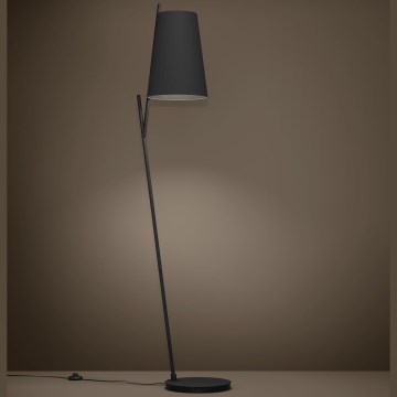 Eglo - Stojací lampa 1xE27/40W/230V černá