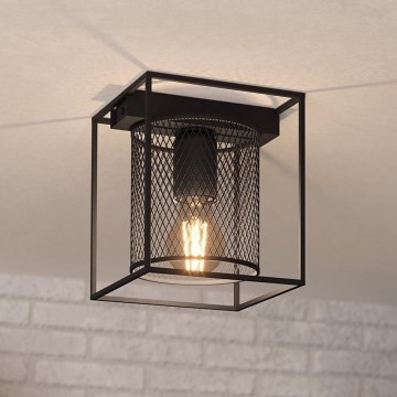 Eglo - Stropní svítidlo 1xE27/40W/230V
