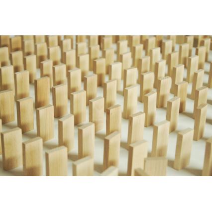 EkoToys - Dřevěné domino 830 ks buk