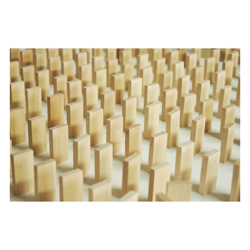 EkoToys - Dřevěné domino 830 ks buk