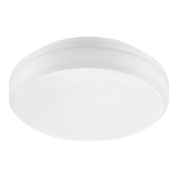 Emithor 63207 - LED Technické  stropní svítidlo SURFACE LED/30W/230V IP65