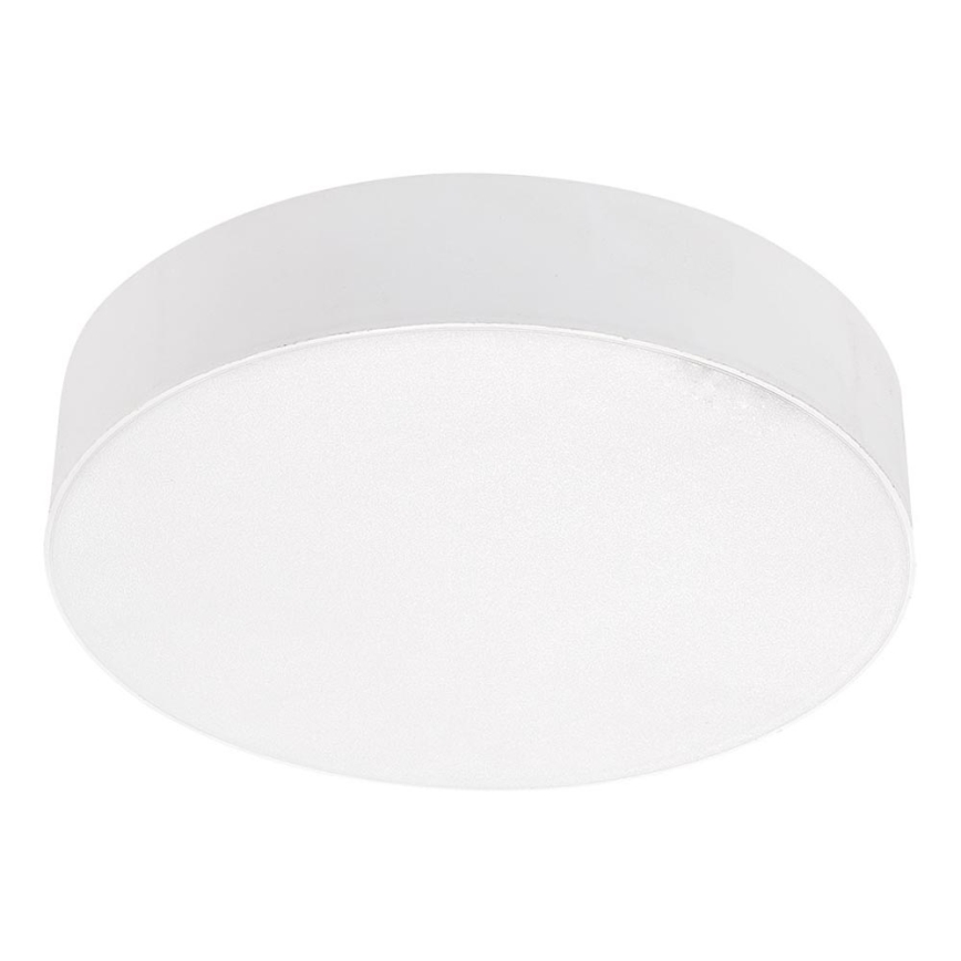 Emithor 63211 - LED Stropní svítidlo SURFACE 1xLED/10W/230V