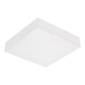 Emithor 63215 - LED Stropní svítidlo SURFACE LED/10W/230V