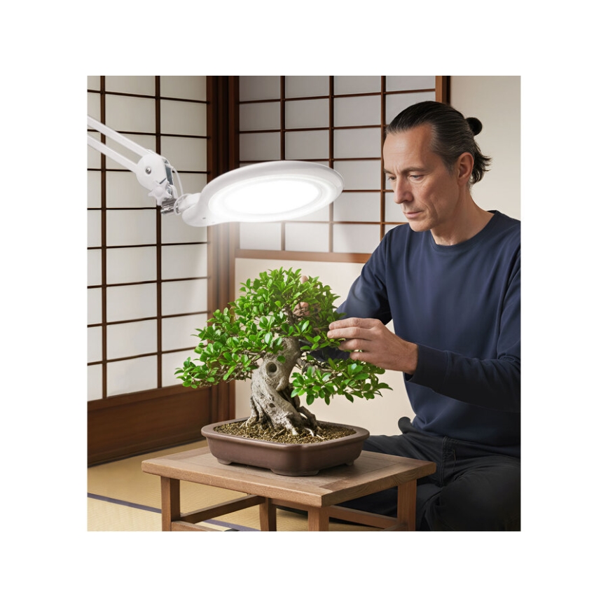 Extol - LED Stmívatelná stolní lampa s lupou LED/10W/230V bílá
