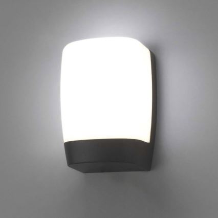 FARO 70829 - LED Venkovní nástěnné svítidlo POL LED/8W/230V IP54