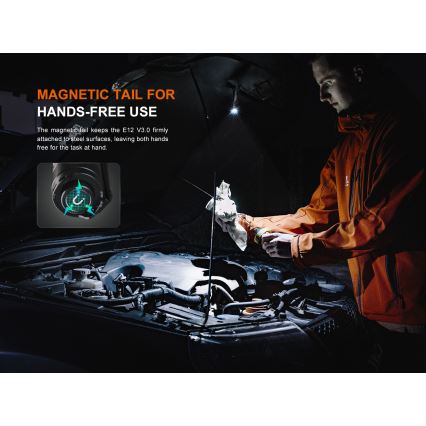 Fenix E12V30 - LED Stmívatelná nabíjecí svítilna LED/1xAA 2000 mAh IP68 200 lm 100 h černá