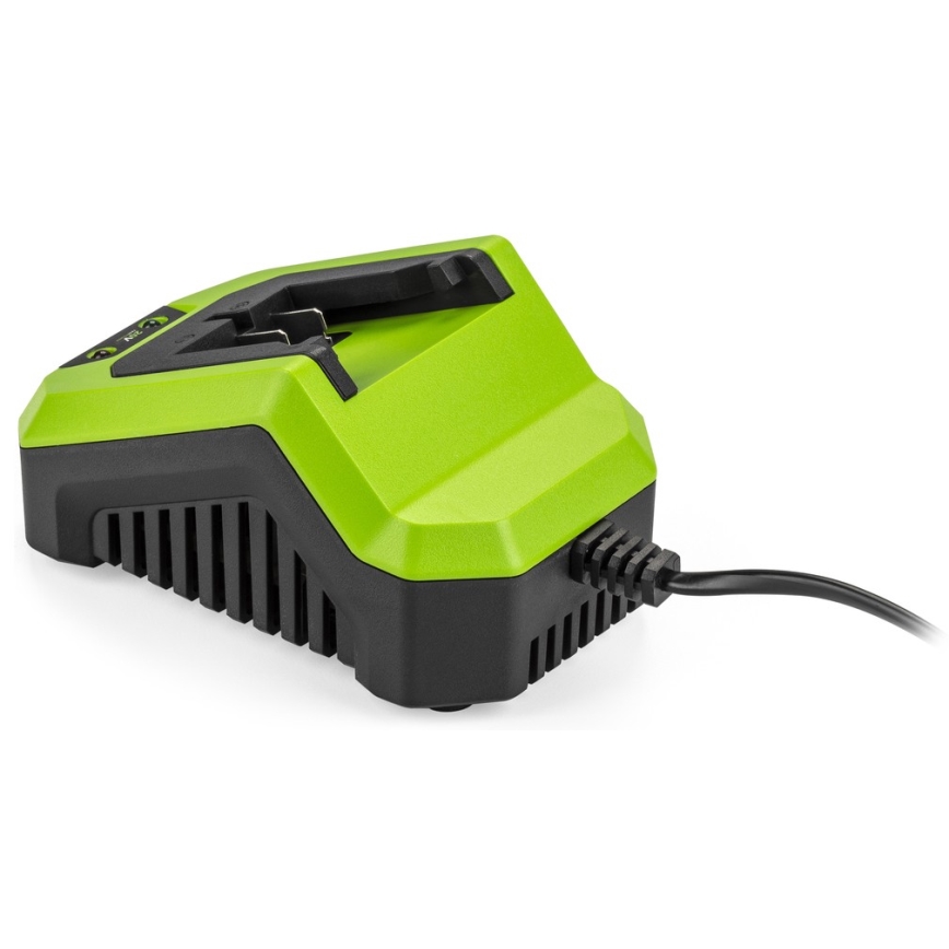 Fieldmann - Rychlonabíjecí stanice 230V