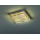 Fischer & Honsel 20539 - LED Stropní svítidlo ELAY 4xLED/4,5W/230V