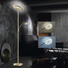 Fischer & Honsel - LED Stmívatelná stojací lampa DENT 1xLED/30W/230V + 1xLED/6W 2700-4000K