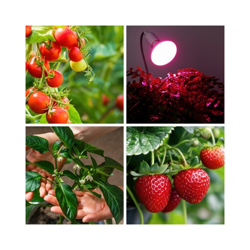 Flexibilní stolní lampa s klipem pro pěstování rostlin PLANTY 1xE27/30W/230V bílá