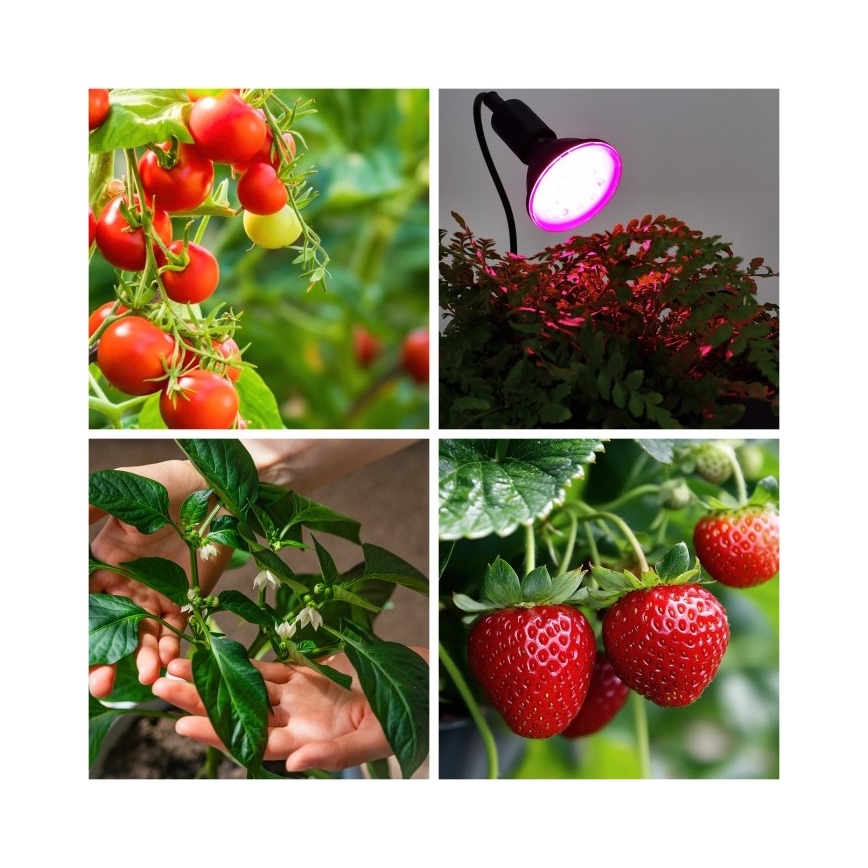 Flexibilní stolní lampa s klipem pro pěstování rostlin PLANTY 1xE27/30W/230V černá