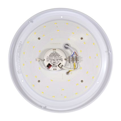 Fulgur 24499 - LED Stropní svítidlo ANETA DM LED/20W/230V 4000K