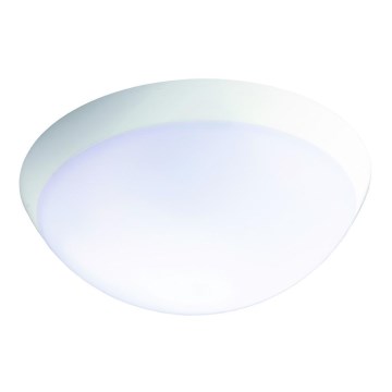 Fulgur 26233 - LED Průmyslové nouzové svítidlo se senzorem ROMANA LED/20W/230V 2200 mAh IP64