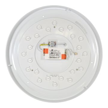 Fulgur 27470 - LED Stropní svítidlo MARIA LED/24W/230V 4000K