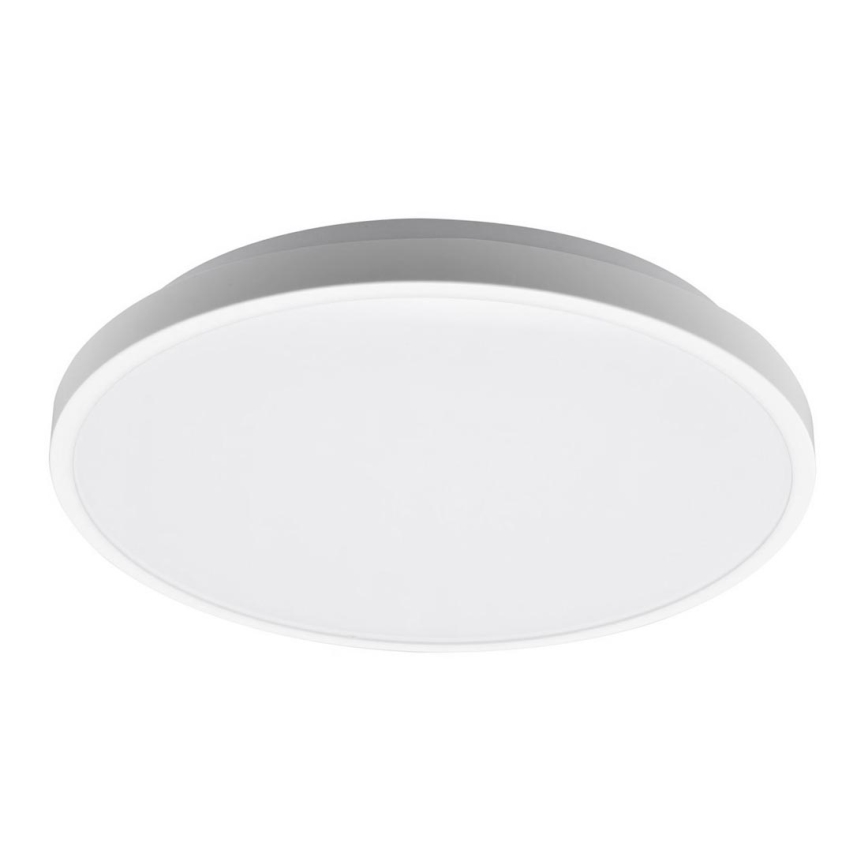 Fulgur 27474 - LED Stropní svítidlo LINA LED/24W/230V 4000K