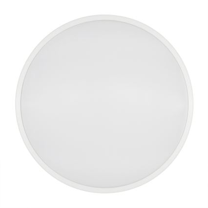 Fulgur 27474 - LED Stropní svítidlo LINA LED/24W/230V 4000K
